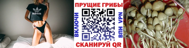 Псилоцибиновые грибы GOLDEN TEACHER  Мостовской 