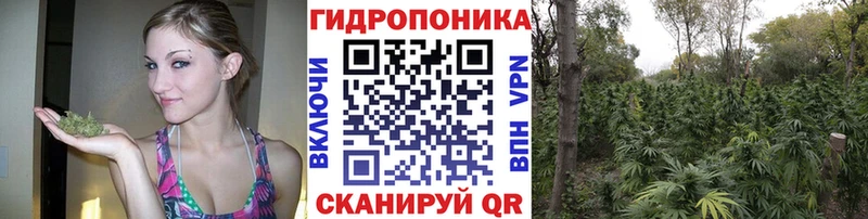 Канабис THC 21%  купить наркотики сайты  Мостовской 